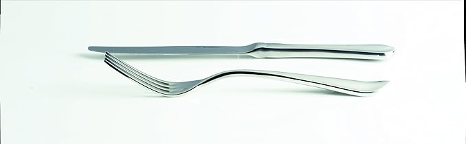 Fortessa Forge 18/10 Stainless Steel Flatware Solid Handle Table Knife, Set of 12,Silver