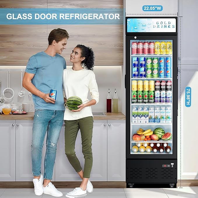 Commercial Glass Door Display Refrigerator 12 cu.ft Commercial Beverage Refrigerators with LED Light & 5 Shelves for Cafe, Restaurant, Store, Bar