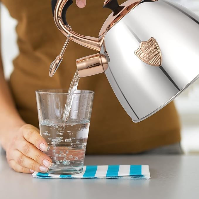 Tea Kettle -2.9 Quart Tea Kettles Stovetop Whistling Teapot Stainless Steel Tea Pots for Stove Top Whistle Tea Pot (Silver-Go)