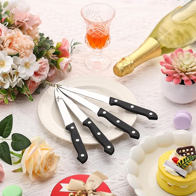 Lasnten 100 Pcs 8.78 Inches Stainless Steel Steak Knives Set Pointed Tip Plastic Handle Kitchen Steak Knife for Restaurant Tableware Camping Wedding Party, Black