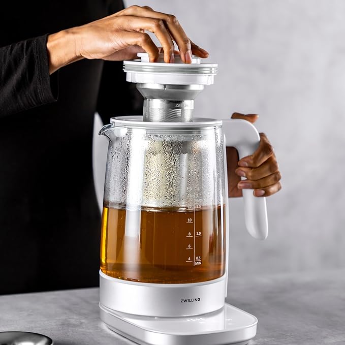 ZWILLING Enfinigy Glass Kettle, Tea Kettle, Silver
