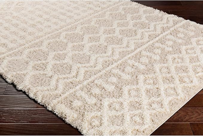 Livabliss Hapsburg Moroccan Shag Area Rug, 6'7" x 9'6", Beige