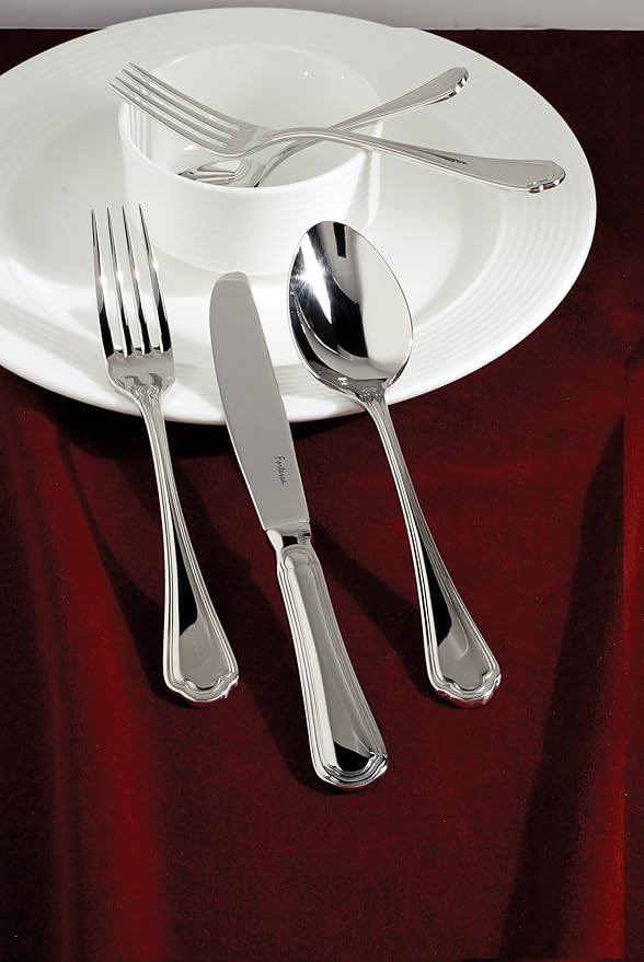 Fortessa Medici 18/10 Stainless Steel Flatware Solid Handle Table Knife, Set of 12,Silver