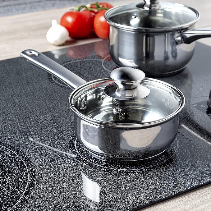 Ecolution Stainless Steel Sauce Pan, Encapsulated Induction Ready Cooking Pot with Glass Lid, Oven Safe, Dishwasher Safe Soup Pot, 1-Quart