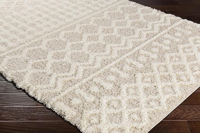 Livabliss Hapsburg Moroccan Shag Area Rug, 6'7" Square, Beige