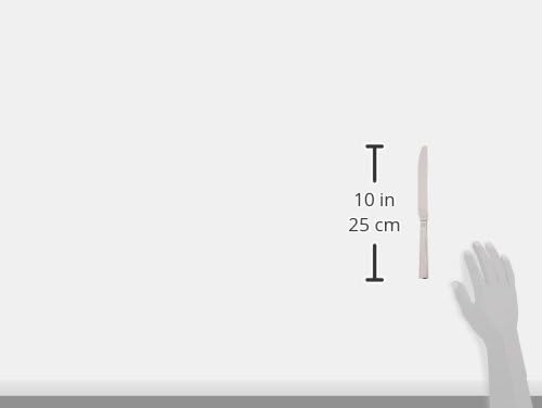 Fortessa Scalini 18/10 Stainless Steel 20-Piece Flatware Set, Service for 4