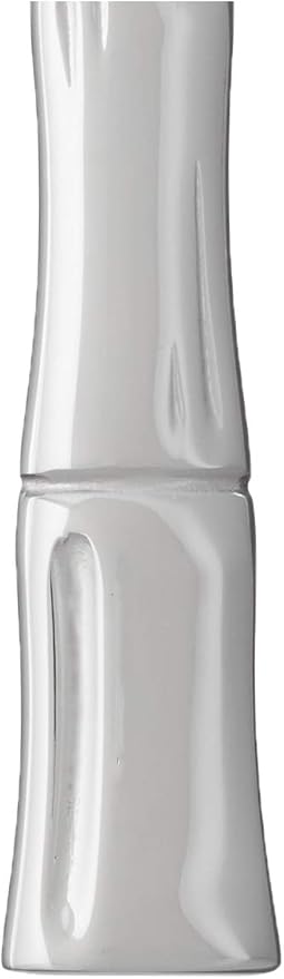 Fortessa Royal Pacific 18/10 Stainless Steel Flatware Solid Handle Steak Knife, Set of 12,Silver