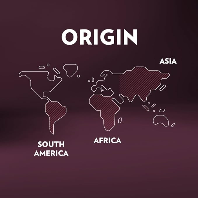 Lavazza Expert Intenso Coffee Capsules, Dark Roast, Arabica and Robusta Blend, Compatible with Lavazza Classy Plus Machine (36 Capsules)