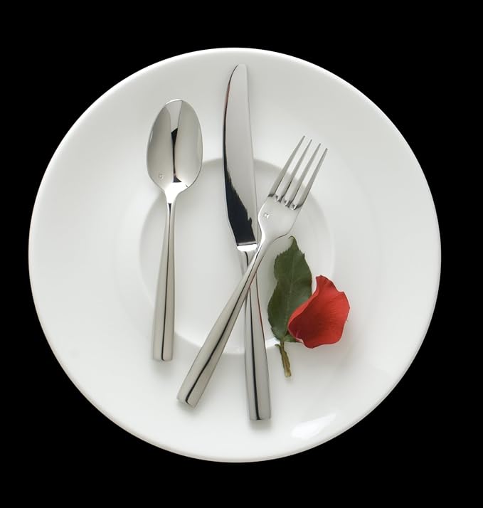 Fortessa Lucca 18/10 Stainless Steel Flatware Table Fork, Set of 12