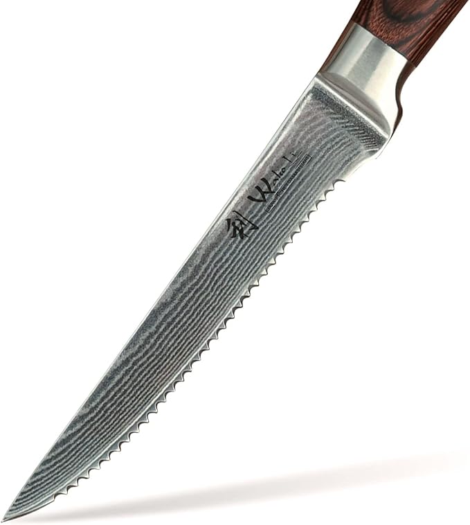 Wakoli EDIB 4-Piece Damascus Steak Knife Set – Professional Dining Kitchen Knives with VG10 Core Blades, 67-Layer Damascus Steel & Ergonomic Pakkawood Handles – Premium Steak Cutlery in Gift Box