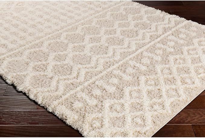 Livabliss Hapsburg Moroccan Shag Runner Area Rug,2'7" x 16',Beige