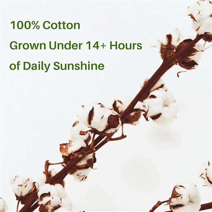 Vie Triomphe Facial Towels Washcloth (2 Pieces Green +2 Pieces Purple) Luxury Hand Towels for Bathroom,100% Cotton Quick Dry Absorbent Soft Hand Towel Set 13.38 * 31.49 Inch Wash Clothes