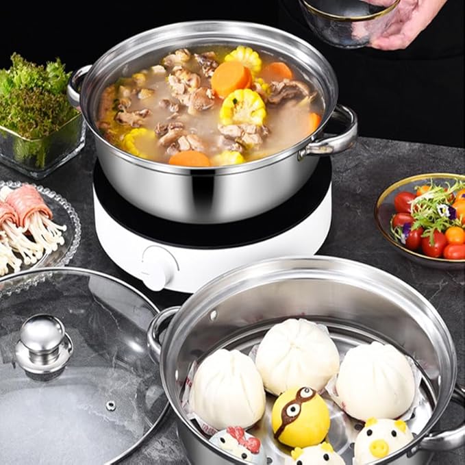 Steamer Pot for Cooking 8.8 inch Steamer Pot 2-tier Multipurpose 18/8 Stainless Steel Steam Pot Cookware with Lid for Vegetable, Dumpling, Stock, Sauce, Food