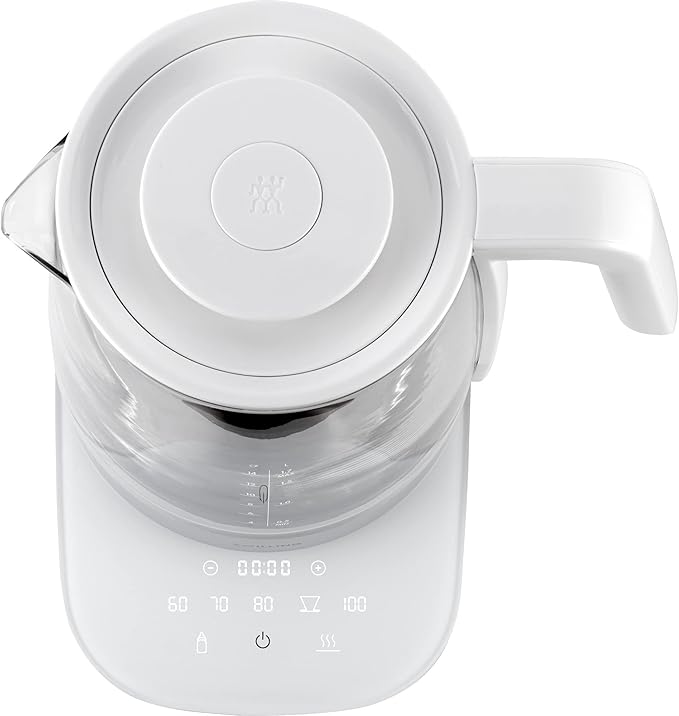 ZWILLING Enfinigy Glass Kettle, Tea Kettle, Silver
