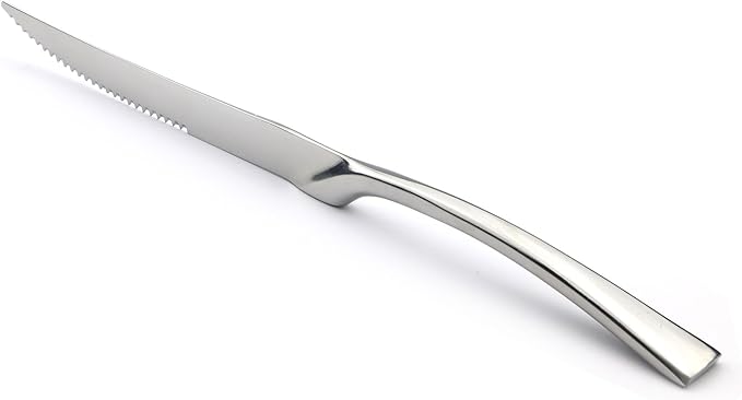 20-Piece 18/10 Stainless Steel Serrated Steak Knife Flatware Set, Service for 4