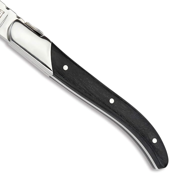 [Set of 6]Steak Knives, Hailingshan Stainless Steel Straight Blade Sharp Heavy-Duty Premium Dishwasher Safe Polished Table Dinner Cutlery Flatware Laguiole Steak Knife 22cm Gift Box-Black Wood Handle