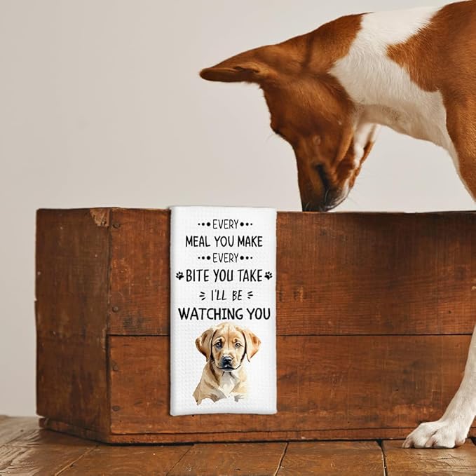 Labrador Retriever Gifts Kitchen Towels Set of 2, Labrador Gifts, Labrador Retriever Decor Hand Towels, LabradorRetriever Dog Dishcloths Tea Dish Towels, Dog Kitchen Bathroom Decor, 16x24 Inch