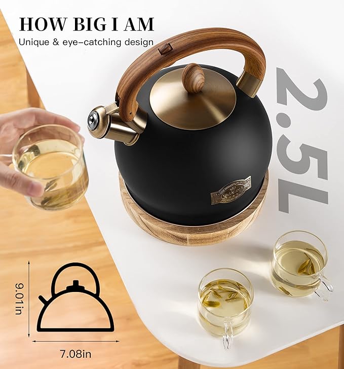 Tea Kettle & Tea Pot, 2.64 Quart Food Grade Stainless Steel Induction Whistling Tea Kettle for Stove Top Home Daily Use Teapot with Cool Touch Ergonomic Handle Polished Black
