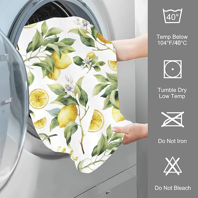 Lemon Hand Towel Set,Branches Ripe Lemons Hand Towels for Bathroom 2 Pack Soft Absorbent Decorative Dish Towel for Kitchen Sports Gym Yoga Home Decor 14 x 28 in