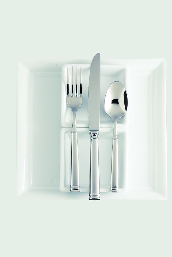 Fortessa Bistro 18/10 Stainless Steel Flatware Tea/Coffee Spoon, Set of 12