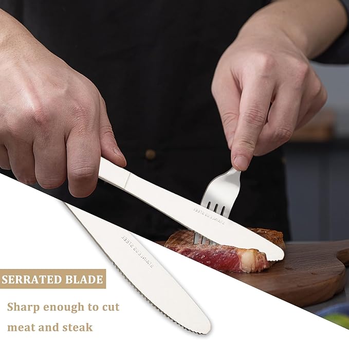 72 PCS Dinner Knifes Set - Windsor Stainless Steel Table Knives 8.7 Inch with Dishwasher Safe Butter Knives,Metal Butter Knofe,Dinner Knife Silverware for Home,Kitchen or Restaurant