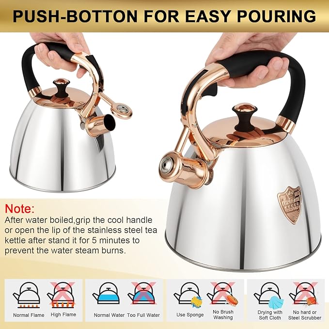 Tea Kettle -2.9 Quart Tea Kettles Stovetop Whistling Teapot Stainless Steel Tea Pots for Stove Top Whistle Tea Pot (Silver-Go)