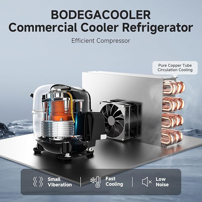 BODEGACOOLER Commercial Merchandiser Refrigerator, 2 Glass Door Display Refrigerator, 27.02 Cu.Ft Upright Beverage Display Cooler with Soft LED Light, Adjustable Shelves, 4 Strong Castors(Black)