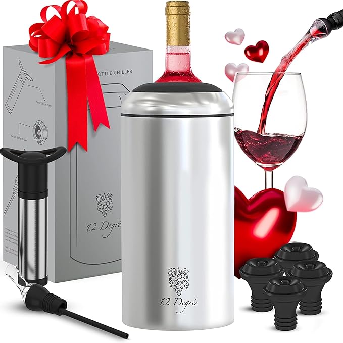 Wine Chiller Set - Perfect Wine Gifts for Women & Men - Stainless Steel Insulated Wine Cooler with Wine Pump, Aerator & 4 Stoppers (Silver)