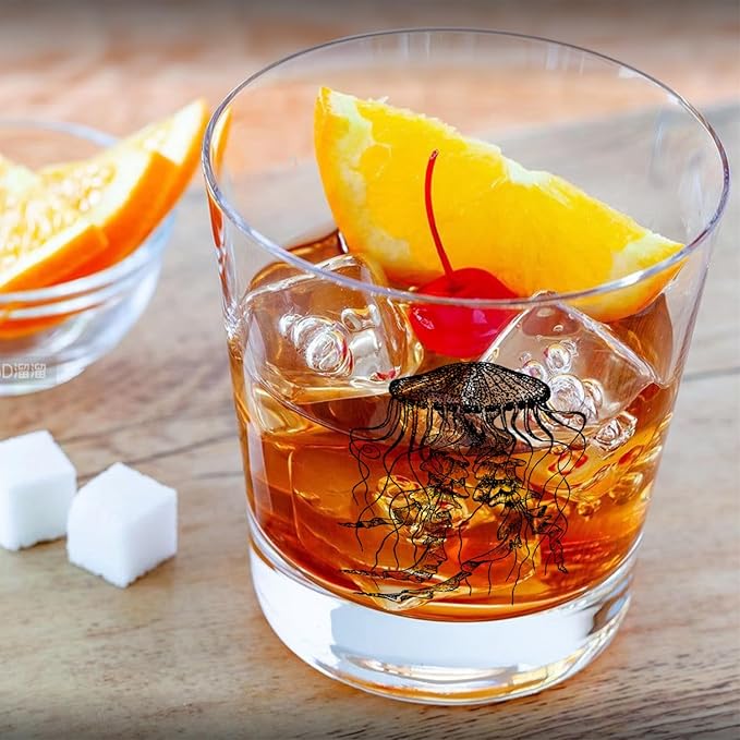 Ocean Jellyfish Beach Whiskey Glasses 10 oz, Gifts for Ocean Coastal Beach Lovers, Sea Life Jellyfish Old Fashioned Rocks Glasses Cup for Women Men Drinking Scotch Bourbon Liquor