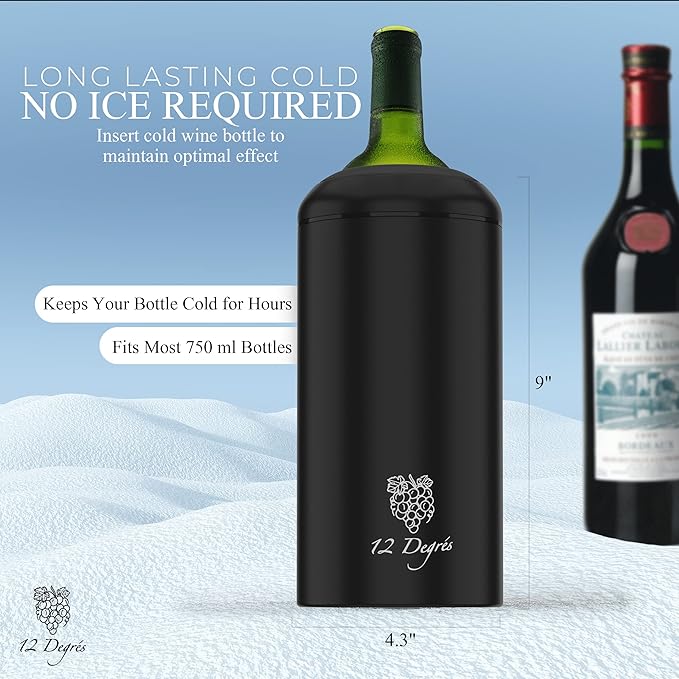 Wine Chiller Set - Perfect Wine Gifts for Women & Men - Stainless Steel Insulated Wine Cooler with Wine Pump, Aerator & 4 Stoppers (Black)