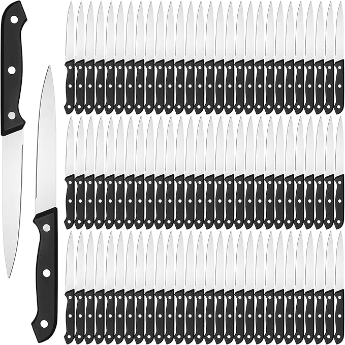 Lasnten 100 Pcs 8.78 Inches Stainless Steel Steak Knives Set Pointed Tip Plastic Handle Kitchen Steak Knife for Restaurant Tableware Camping Wedding Party, Black
