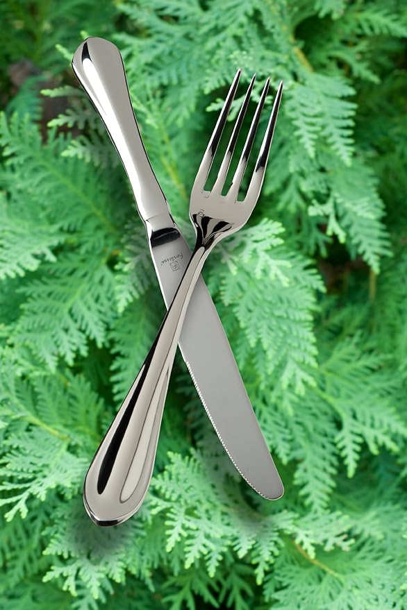Fortessa Forge 18/10 Stainless Steel Flatware Table Fork, Set of 12,Silver