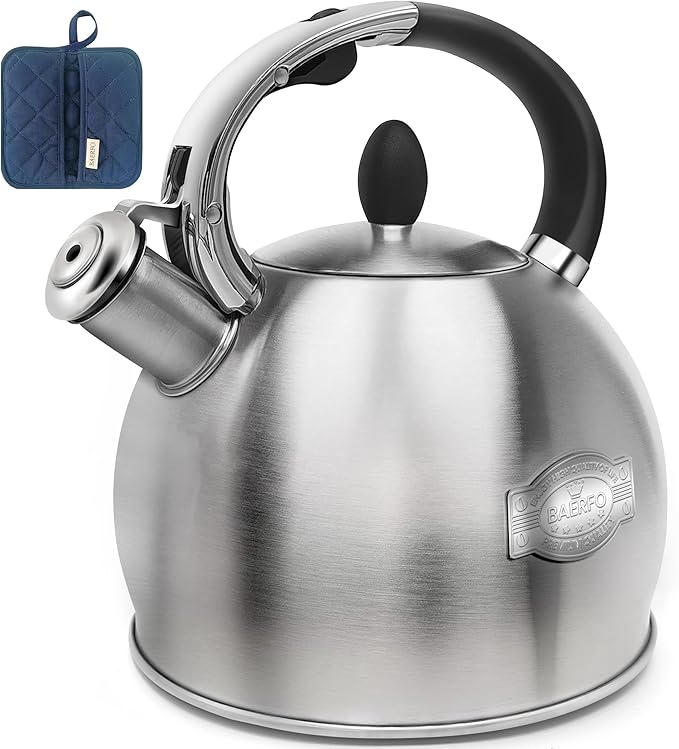 Stainless Steel Tea Kettle, Tea Kettles Stovetop, Vintage Whistling Teapot for Stove, Durable and Rust-Resistant, with a Pot Holder Included, 2.64 Quart (Brushed)