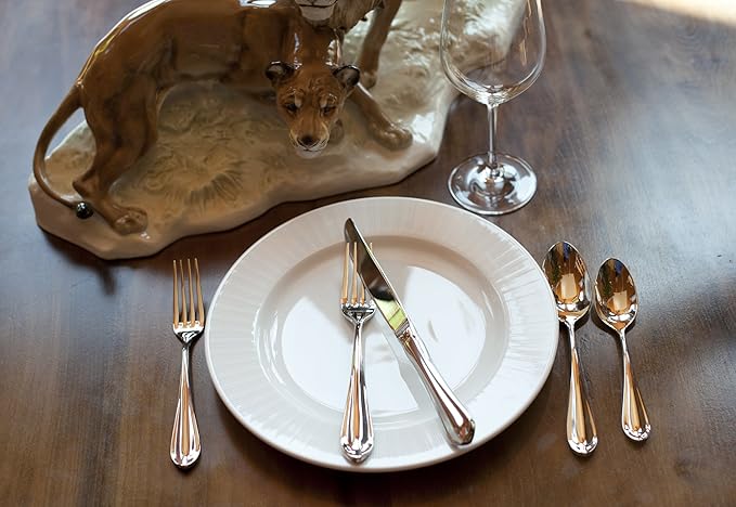 Fortessa Forge 18/10 Stainless Steel Flatware Tea/Coffee Spoon, Set of 12, Silver