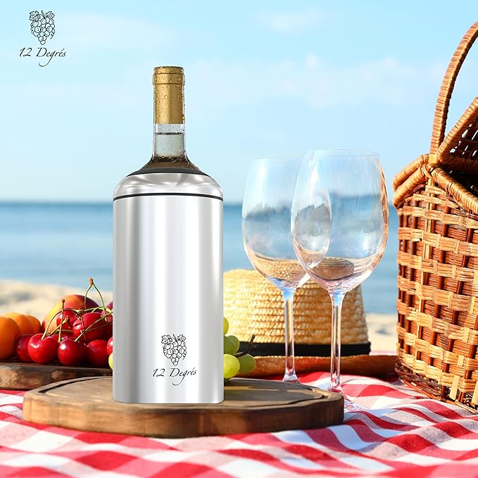 Wine Chiller Set - Perfect Wine Gifts for Women & Men - Stainless Steel Insulated Wine Cooler with Wine Pump, Aerator & 4 Stoppers (Silver)