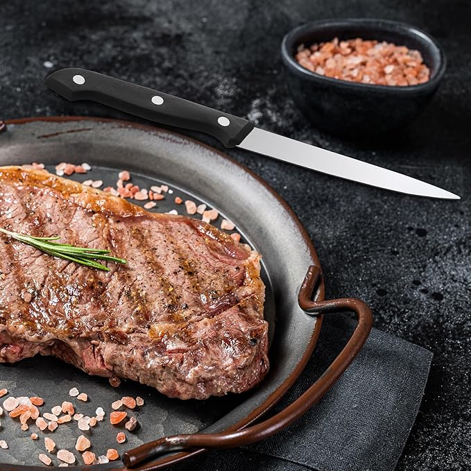 Lasnten 100 Pcs 8.78 Inches Stainless Steel Steak Knives Set Pointed Tip Plastic Handle Kitchen Steak Knife for Restaurant Tableware Camping Wedding Party, Black