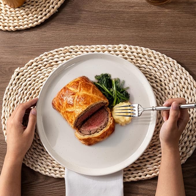 AmorArc Ceramic Dinnerware Sets, Handpainted Plates and Bowls Set with Rustic Terracotta Underside, Scratch Resistant Stoneware Dishes Set, Dishwasher & Microwave Safe