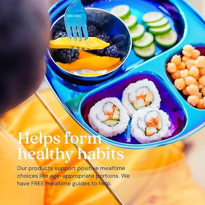 Ahimsa Stainless Steel Plates For Kids, Pediatrician Designed Divided Plates for Toddlers & Baby, Non Toxic, Unbreakable & Dishwasher Safe, Iridescent Blue Set of 4