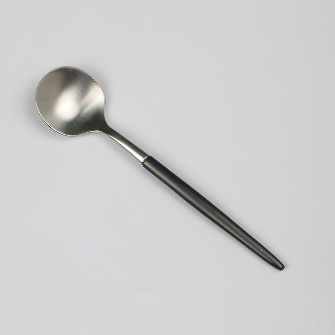 20-Pieces Luxury Black Handle Silver 18/10 Stainless Steel Flatware Set, Matte Finish, Service for 4