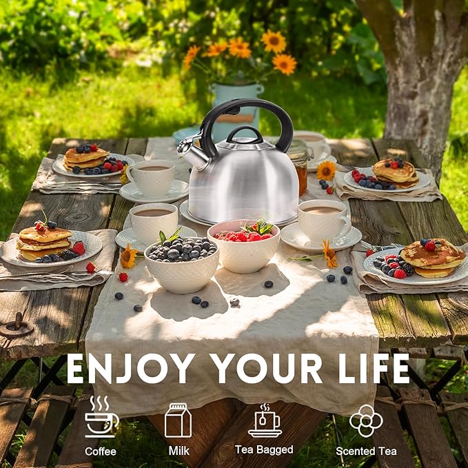 GGC Whistling Stove Top Tea Kettles, 304 Stainless Steel Tea Kettles with Anti-Heat Handle, 2.7QT/3L Tea Pot for Boiling Water, Coffee or Milk