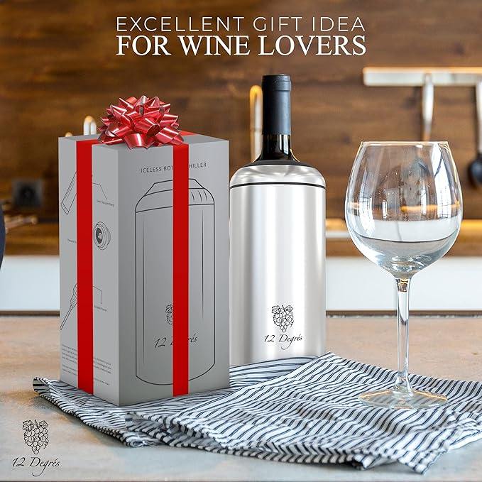 Wine Chiller Set - Perfect Wine Gifts for Women & Men - Stainless Steel Insulated Wine Cooler with Wine Pump, Aerator & 4 Stoppers (Silver)