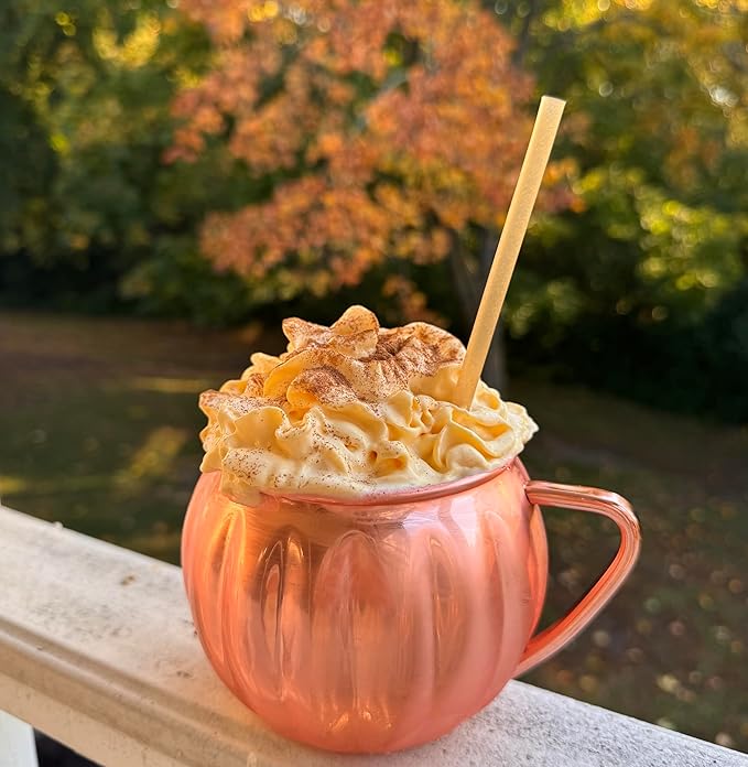 set of two stainless steel copper pumpkin fall moscow mule mug