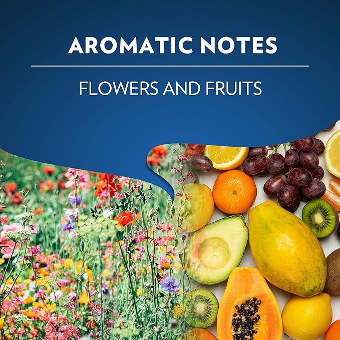 Lavazza TIERRA AMAZONIA USDA ORGANIC Espresso Aluminum Capsules Compatible with Nespresso Original Machines (Pack of 60) ,Value Pack, Medium Roast 100% Arabica, Round & Balanced, notes of chocolate & caramel, Intensity 8 of 13