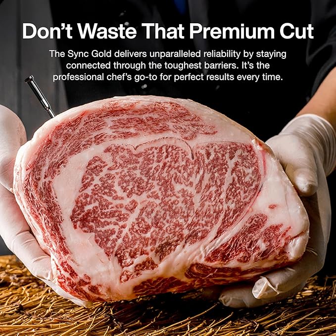 Typhur Sync Gold Wireless WiFi Meat Thermometer, 2 Slim Probes, 6 Sensors, 10x Stronger Signal, ±0.5℉ Accuracy, Smart Base Direct Setup, Reliable Reading Through Kamado Grill BBQ Oven Smoker Air Fryer