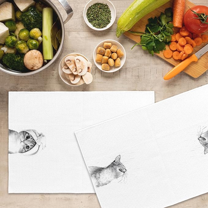 Funny Cat Bathroom Towels Set of 2, Cat Gifts for Women Cats Lovers Hand Towel, Bathroom Restroom Washroom Decorative Tea Towel Dish Towels 16x24 Inch