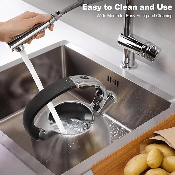 Stainless Steel Tea Kettle, Tea Kettles Stovetop, Vintage Whistling Teapot for Stove, Durable and Rust-Resistant, with a Pot Holder Included, 2.64 Quart (Brushed)