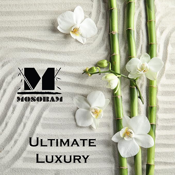 Mosobam Luxury Turkish Set of 2 Bath Towels 30X58 Light Taupe Oversize 700 GSM Bamboo Viscose & Aegean Turkish Combed Cotton