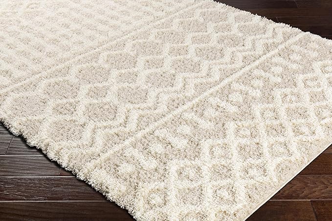 Livabliss Hapsburg Moroccan Shag Runner Area Rug,2'7" x 18',Beige