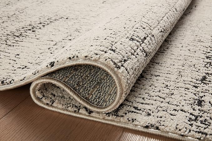 Loloi Darby Collection DAR-02 Oatmeal/Charcoal 2'-7" x 4' Accent Rug