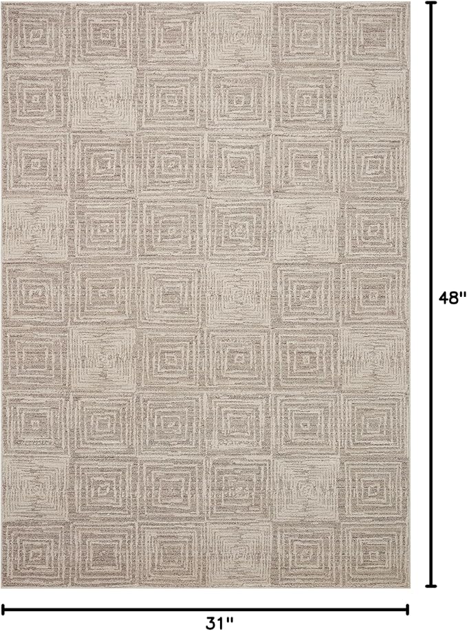 Loloi Darby Collection DAR-05 Beige/Grey 2'-7" x 4' Accent Rug